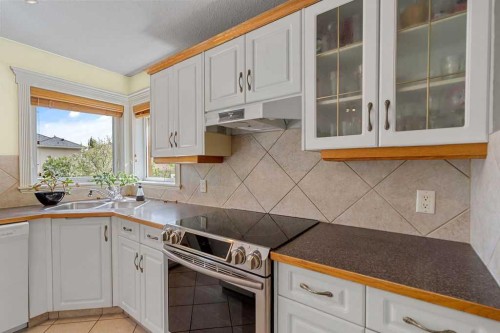 175 Panorama Hills Close Nw, Calgary, AB - Indoor Photo Showing Kitchen With Double Sink