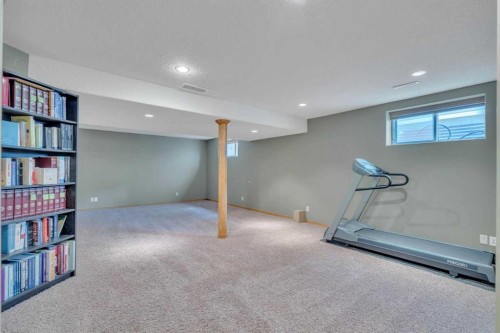 175 Panorama Hills Close Nw, Calgary, AB - Indoor Photo Showing Basement