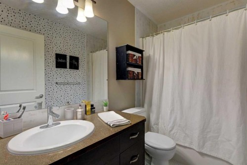 152 Mike Ralph Way Sw, Calgary, AB - Indoor Photo Showing Bathroom