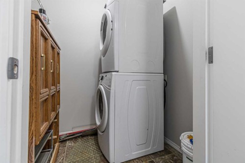 316-5 Saddlestone Way Ne, Calgary, AB - Indoor Photo Showing Laundry Room