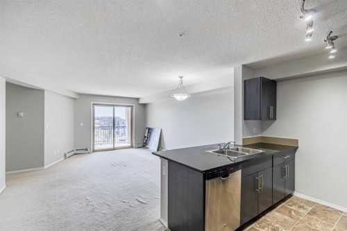 316-5 Saddlestone Way Ne, Calgary, AB - Indoor Photo Showing Kitchen With Double Sink