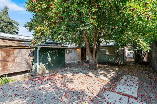 7927 36 Avenue Nw, Calgary, AB - Outdoor