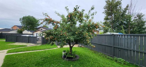 235 Saddlemead Road Ne, Calgary, AB - Outdoor With Backyard