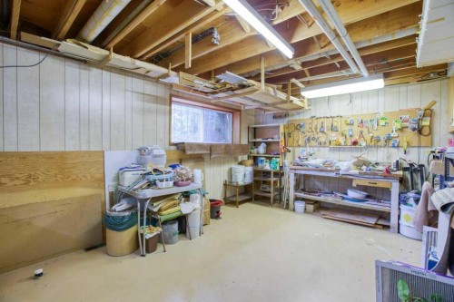 307 Silverthorn Way Nw, Calgary, AB - Indoor Photo Showing Basement