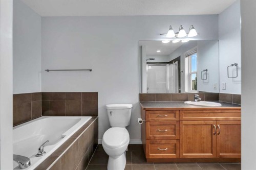 20 Copperpond Grove Se, Calgary, AB - Indoor Photo Showing Bathroom