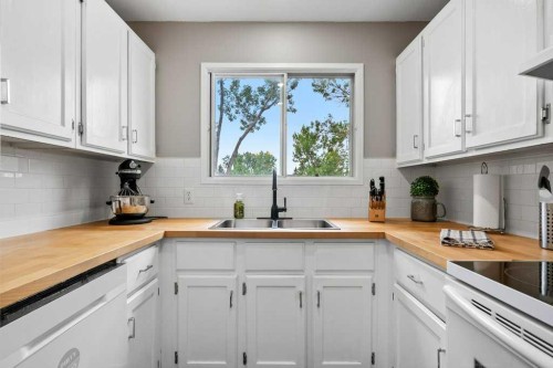 55 Macewan Drive Nw, Calgary, AB - Indoor Photo Showing Kitchen With Double Sink