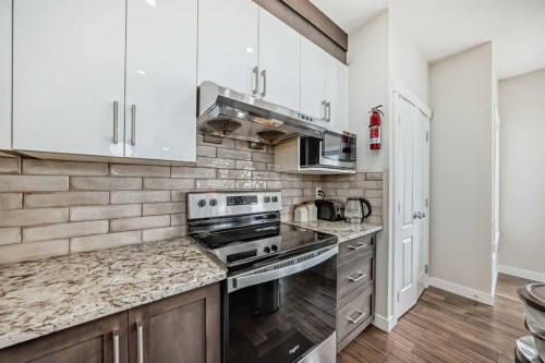 9 Saddlecrest Crescent Ne, Calgary, AB - Indoor Photo Showing Kitchen With Upgraded Kitchen
