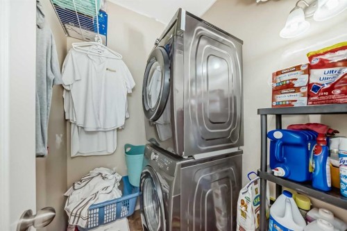 9 Saddlecrest Crescent Ne, Calgary, AB - Indoor Photo Showing Laundry Room