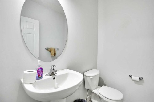 216 Windbury Lane Sw, Airdrie, AB - Indoor Photo Showing Bathroom