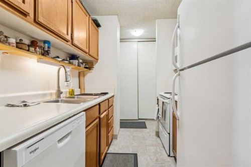 303-924 14 Avenue Sw, Calgary, AB - Indoor Photo Showing Kitchen With Double Sink