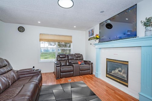 714 Martindale Boulevard Ne, Calgary, AB - Indoor Photo Showing Living Room With Fireplace