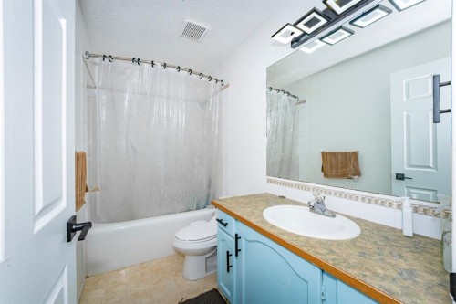 714 Martindale Boulevard Ne, Calgary, AB - Indoor Photo Showing Bathroom