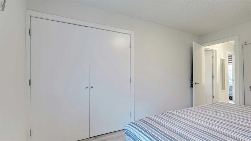 559 Abinger Road Ne, Calgary, AB - Indoor Photo Showing Bedroom