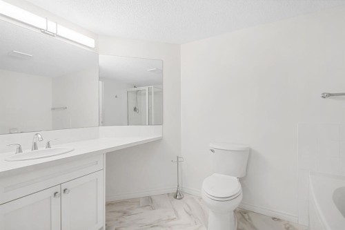 2205-7451 Springbank Boulevard Sw, Calgary, AB - Indoor Photo Showing Bathroom