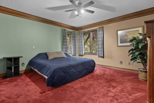 1521 92 Avenue Sw, Calgary, AB - Indoor Photo Showing Bedroom