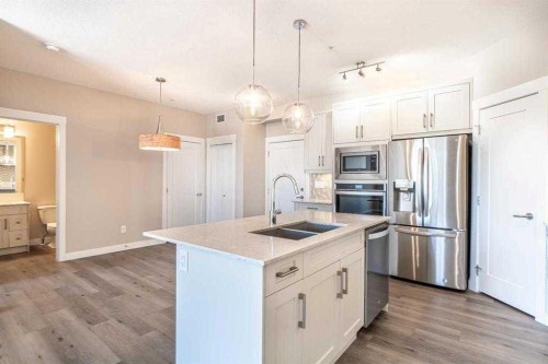 217-30 Walgrove Walk Se, Calgary, AB - Indoor Photo Showing Kitchen With Stainless Steel Kitchen With Double Sink With Upgraded Kitchen