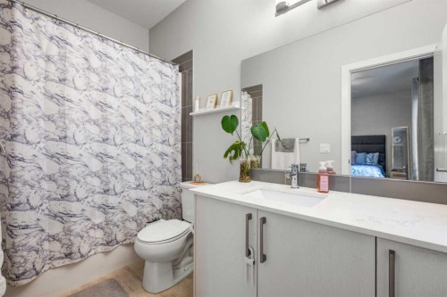 716 Redstone Crescent Ne, Calgary, AB - Indoor Photo Showing Bathroom