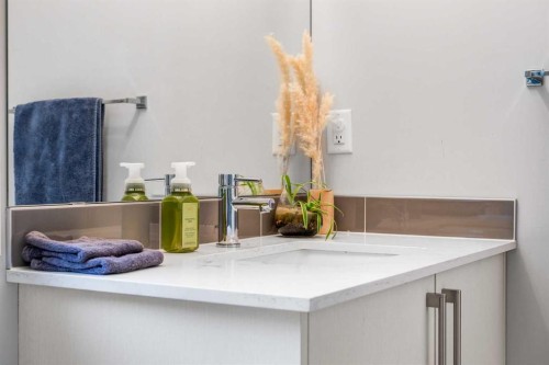 716 Redstone Crescent Ne, Calgary, AB - Indoor Photo Showing Bathroom