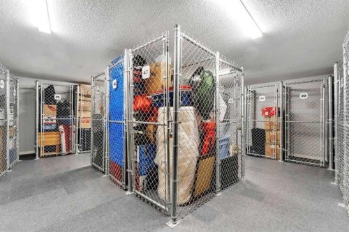203-360 Harvest Hills Way Ne, Calgary, AB - Indoor With Storage