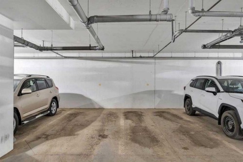 203-360 Harvest Hills Way Ne, Calgary, AB - Indoor Photo Showing Garage