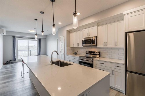 203-360 Harvest Hills Way Ne, Calgary, AB - Indoor Photo Showing Kitchen With Stainless Steel Kitchen With Upgraded Kitchen