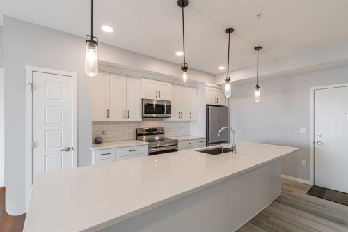 203-360 Harvest Hills Way Ne, Calgary, AB - Indoor Photo Showing Kitchen With Stainless Steel Kitchen With Upgraded Kitchen