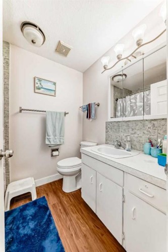 6327 24 Avenue Ne, Calgary, AB - Indoor Photo Showing Bathroom