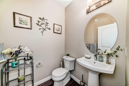 77 Red Sky Way Ne, Calgary, AB - Indoor Photo Showing Bathroom