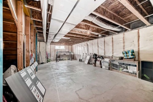 77 Red Sky Way Ne, Calgary, AB - Indoor Photo Showing Basement