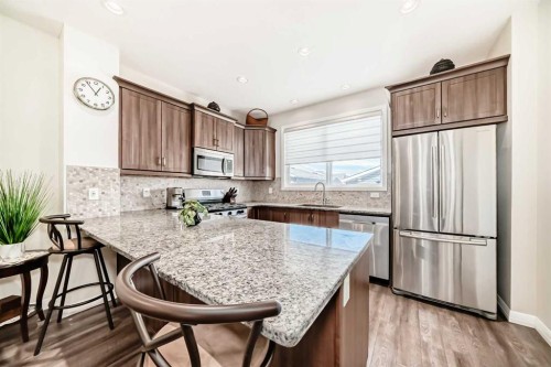 77 Red Sky Way Ne, Calgary, AB - Indoor Photo Showing Kitchen With Stainless Steel Kitchen With Upgraded Kitchen