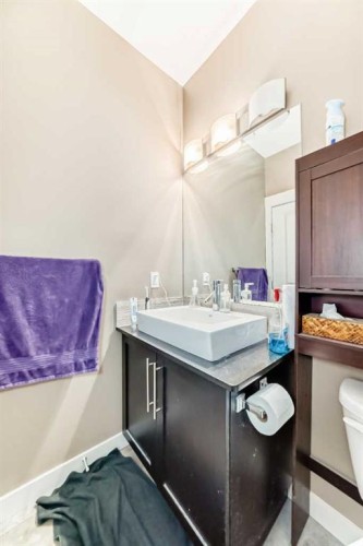 29 Skyview Point Link Ne, Calgary, AB - Indoor Photo Showing Bathroom