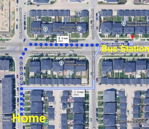 29 Skyview Point Link Ne, Calgary, AB - Other