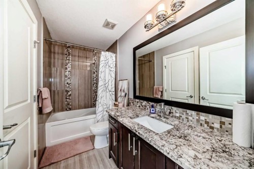 26 Saddlelake View Ne, Calgary, AB - Indoor Photo Showing Bathroom