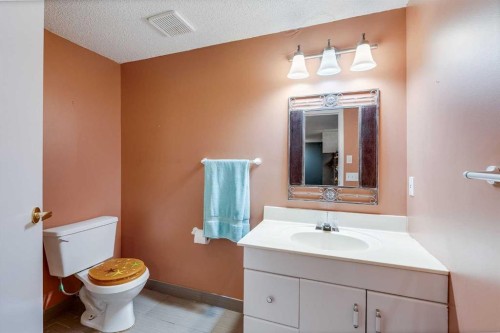 33-228 Theodore Place Nw, Calgary, AB - Indoor Photo Showing Bathroom