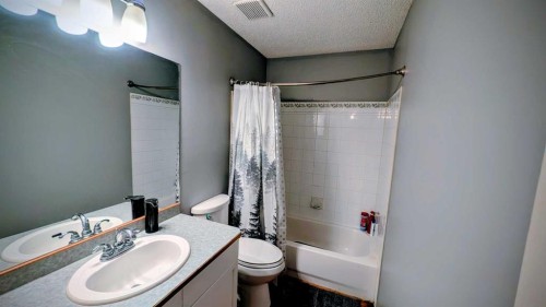 226 Erin Circle Se, Calgary, AB - Indoor Photo Showing Bathroom