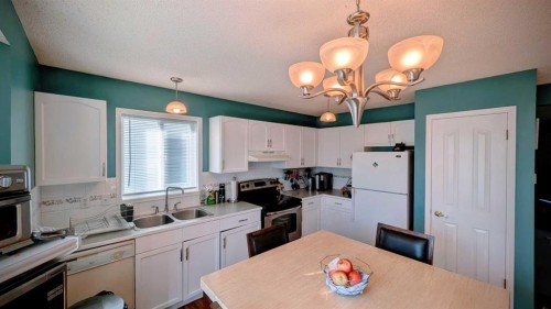 226 Erin Circle Se, Calgary, AB - Indoor Photo Showing Kitchen With Double Sink