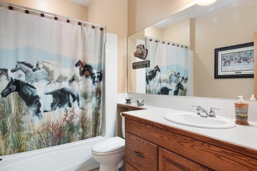34126 Range Road 2-0, Rural Red Deer County, AB - Indoor Photo Showing Bathroom
