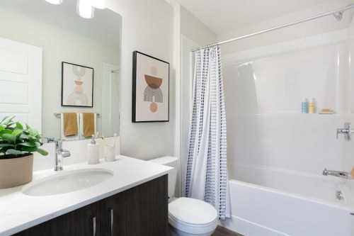 404-1750 Rangeview Drive Se, Calgary, AB - Indoor Photo Showing Bathroom