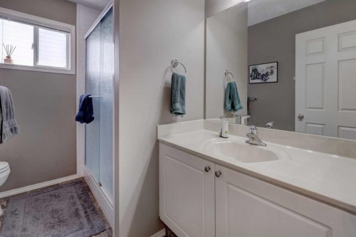 246 Arbour Grove Close Nw, Calgary, AB - Indoor Photo Showing Bathroom