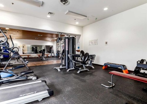308-8604 48 Avenue Nw, Calgary, AB - Indoor Photo Showing Gym Room