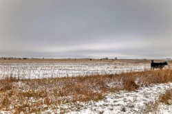 Range Road 241  Rural Wheatland County, AB T1P 1K1