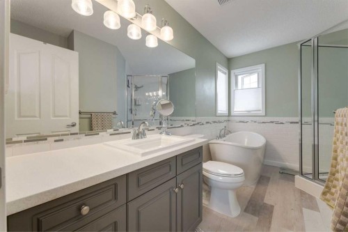 21 Springbank Rise Sw, Calgary, AB - Indoor Photo Showing Bathroom