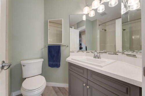 21 Springbank Rise Sw, Calgary, AB - Indoor Photo Showing Bathroom
