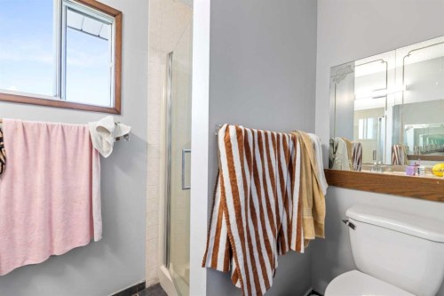 83 Templevale Way Ne, Calgary, AB - Indoor Photo Showing Bathroom