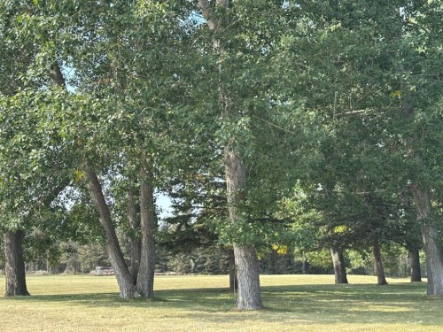 45 Timber Trail, Rural Mountain View County, AB 