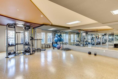 6508-11811 Lake Fraser Drive Se, Calgary, AB - Indoor Photo Showing Gym Room