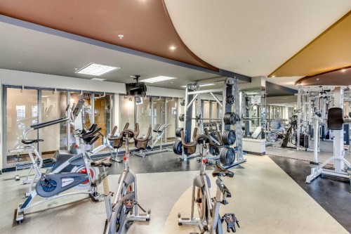6508-11811 Lake Fraser Drive Se, Calgary, AB - Indoor Photo Showing Gym Room