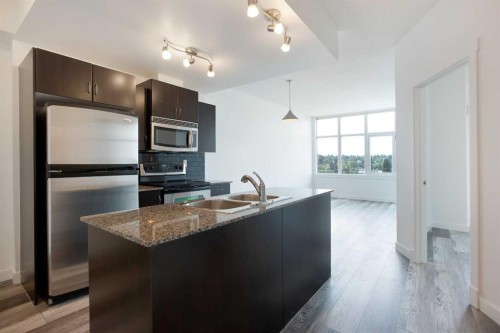 6508-11811 Lake Fraser Drive Se, Calgary, AB - Indoor Photo Showing Kitchen With Double Sink