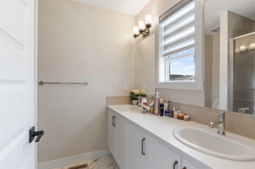 746 Bayview Hill Sw, Airdrie, AB - Indoor Photo Showing Bathroom