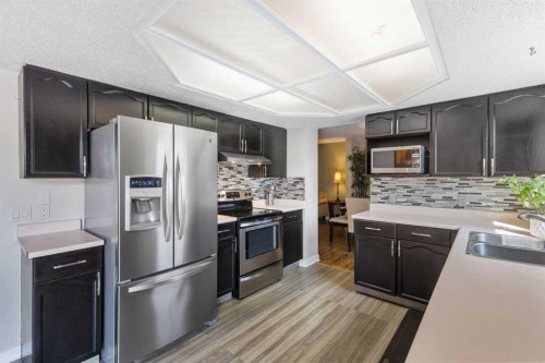 933 Applewood Drive Se, Calgary, AB - Indoor Photo Showing Kitchen With Double Sink With Upgraded Kitchen